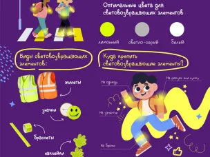 Безопасность дорожного движения